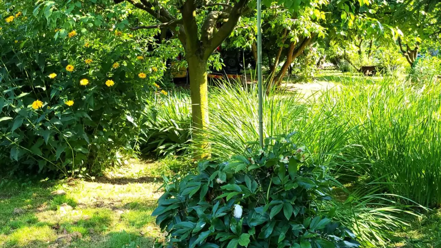 Constructible plot for sale - 1926 Fully