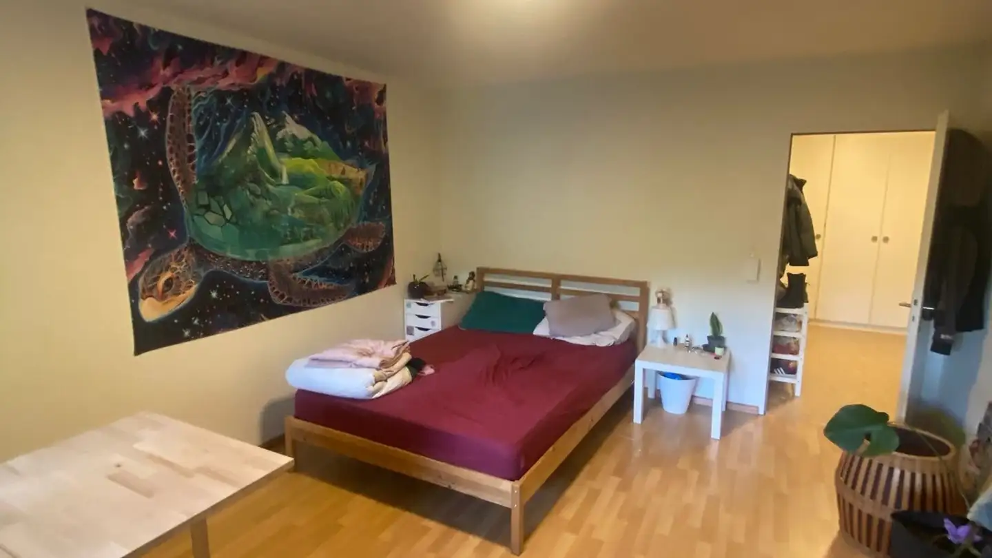Single room for rent - Neumattstrasse 33, 4142 Münchenstein