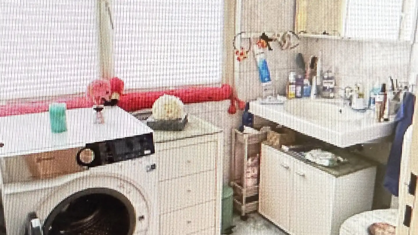 Apartment for rent - 8954 Geroldswil