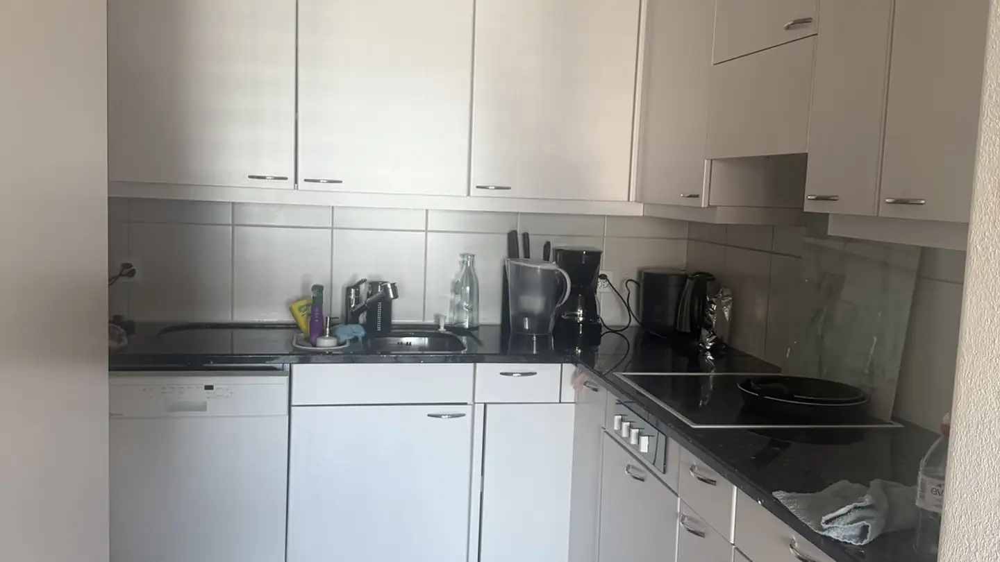 Appartamento in affitto - Seestrasse 115, 8820 Wädenswil - Foto 3