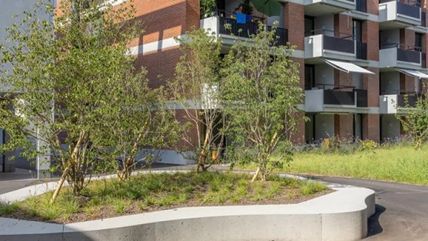 Appartamento in affitto - Färbereiweg 2h, 4800 Zofingen