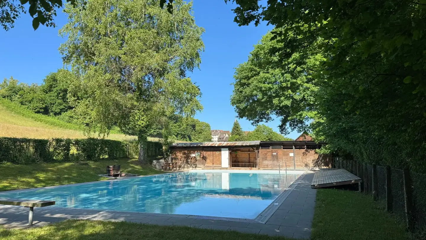 Maison individuelle à vendre - 5466 Kaiserstuhl AG - Photo 3