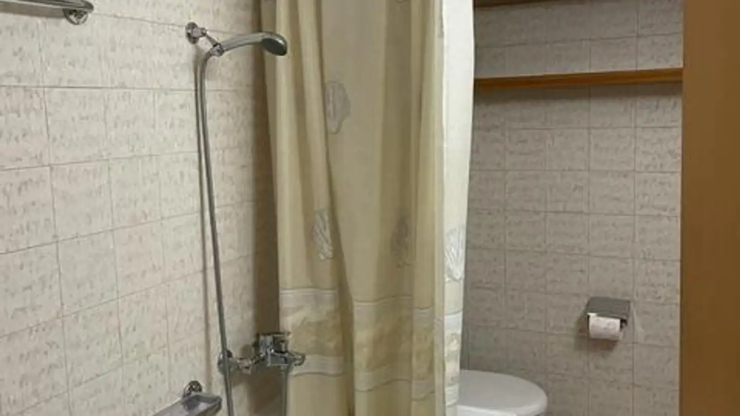 Furnished apartment for rent - 7513 Silvaplana - Photo 4