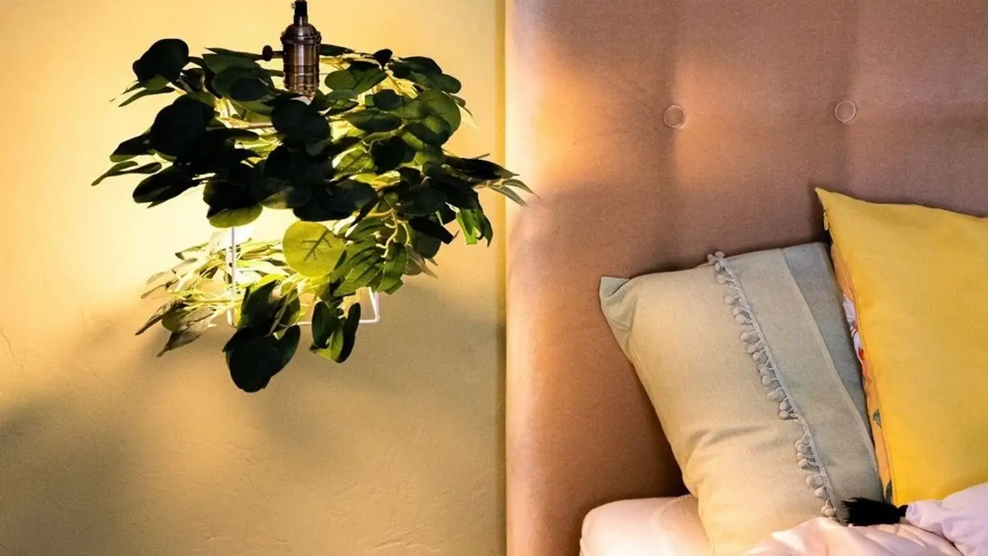 Casa singola in affitto - 8360 Wallenwil - Photo 4