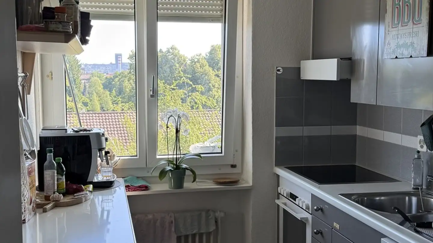 Chambre à louer - Gutstrasse 160, 8055 Zürich - Photo 4