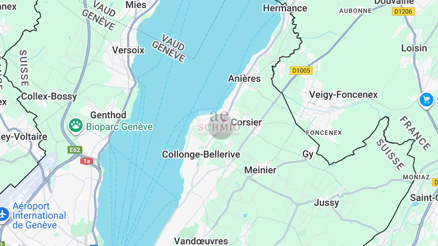 Einfamilienhaus kaufen - 1245 Collonge-Bellerive - Foto 4