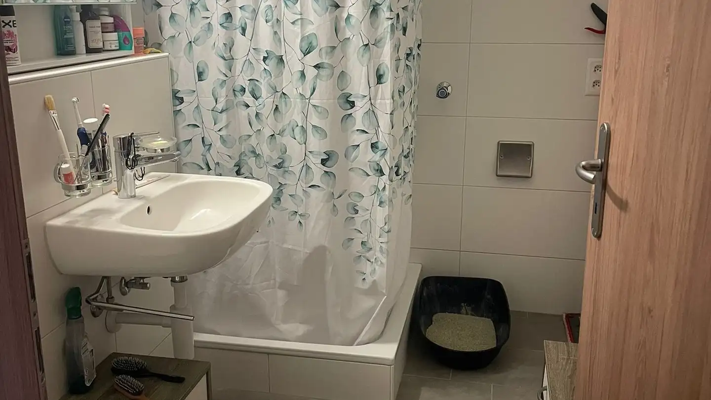 Appartamento in affitto - Rue Du Temple 87, 2405 La Chaux-du-Milieu - Foto 3