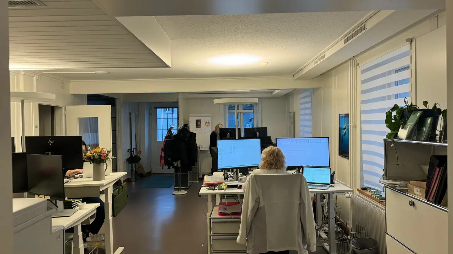 Commerciale in affitto - Wülflingerstrasse 236, 8408 Winterthur - Foto 4