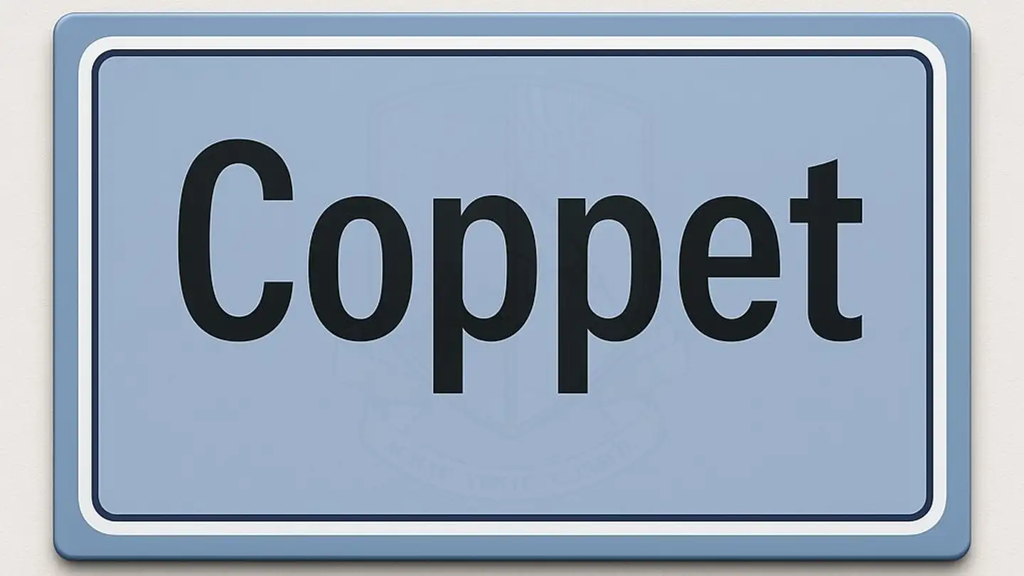 Arcade for rent - 1296 Coppet