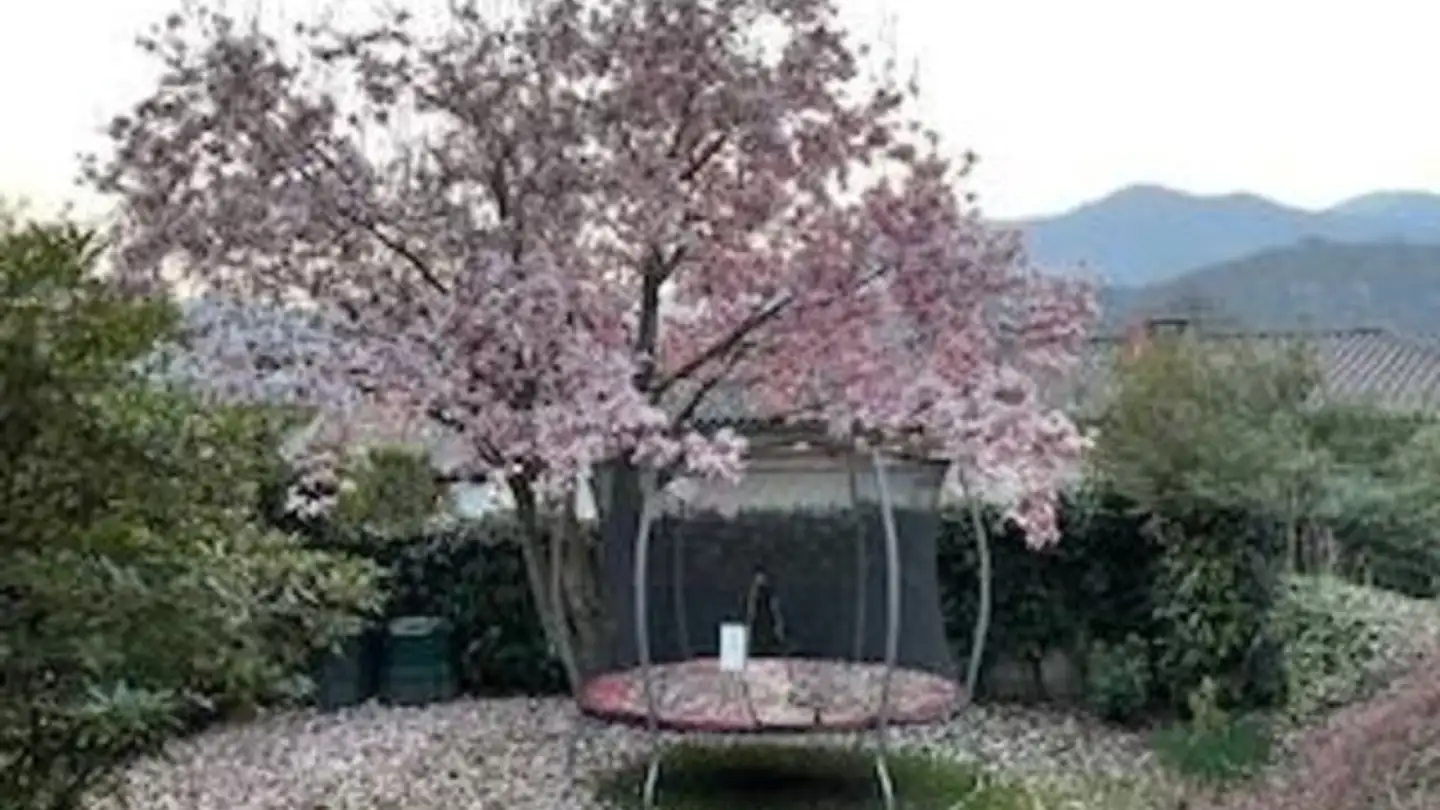 Casa singola in affitto - 6945 Origlio