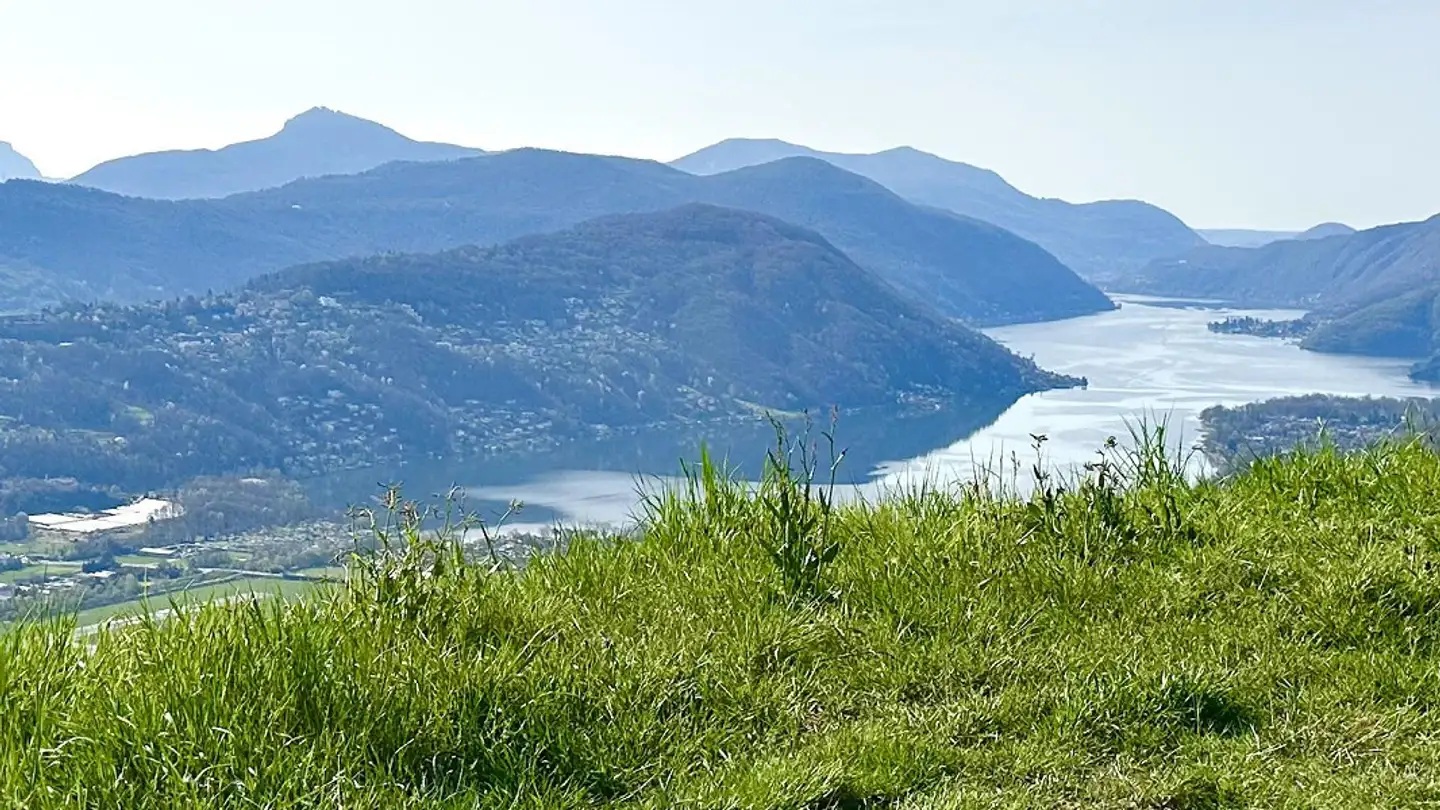 Constructible plot for sale - 6936 Cademario
