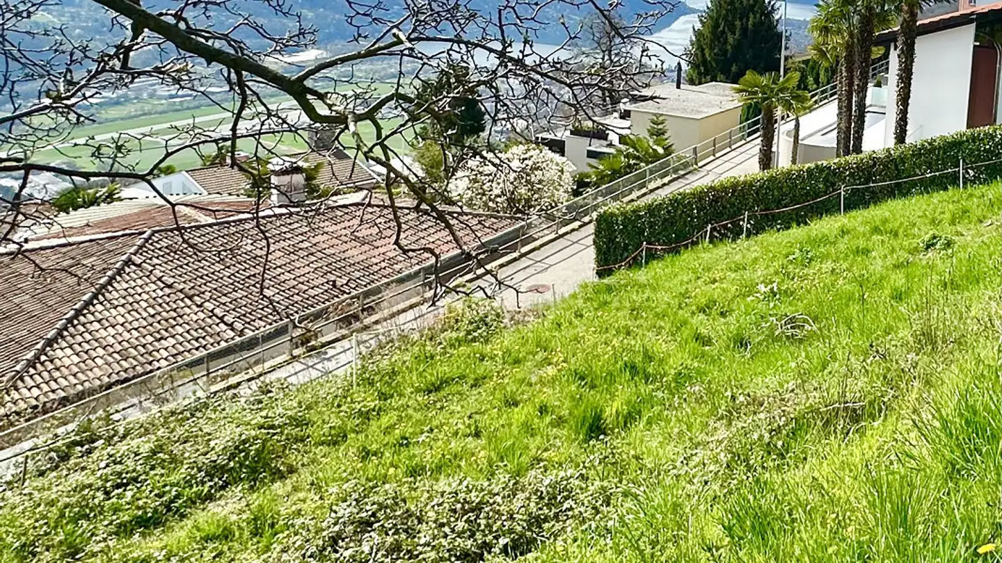 Constructible plot for sale - 6936 Cademario - Photo 2