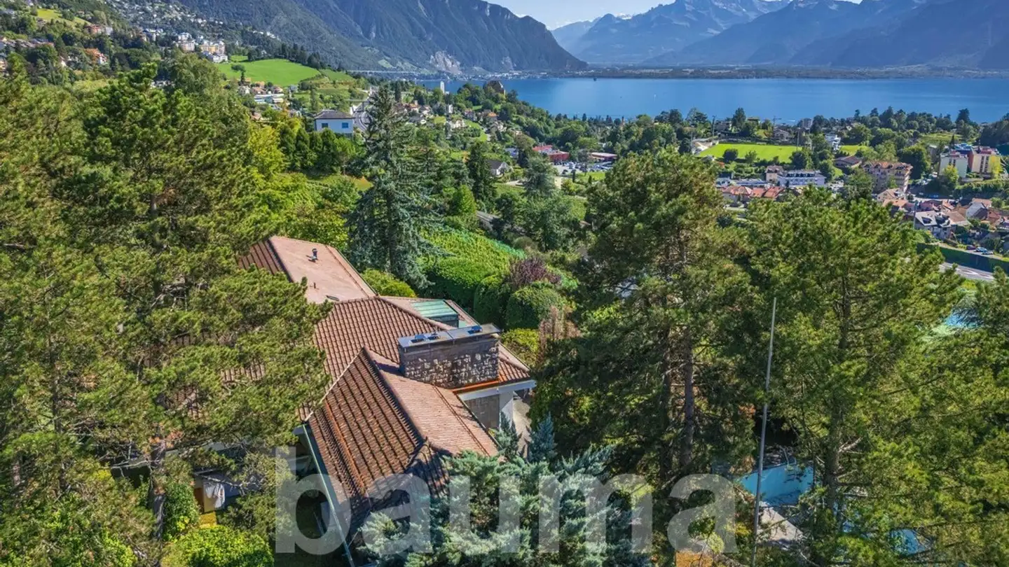 Maison individuelle à vendre - Chemin De La Planaz 27, 1807 Blonay