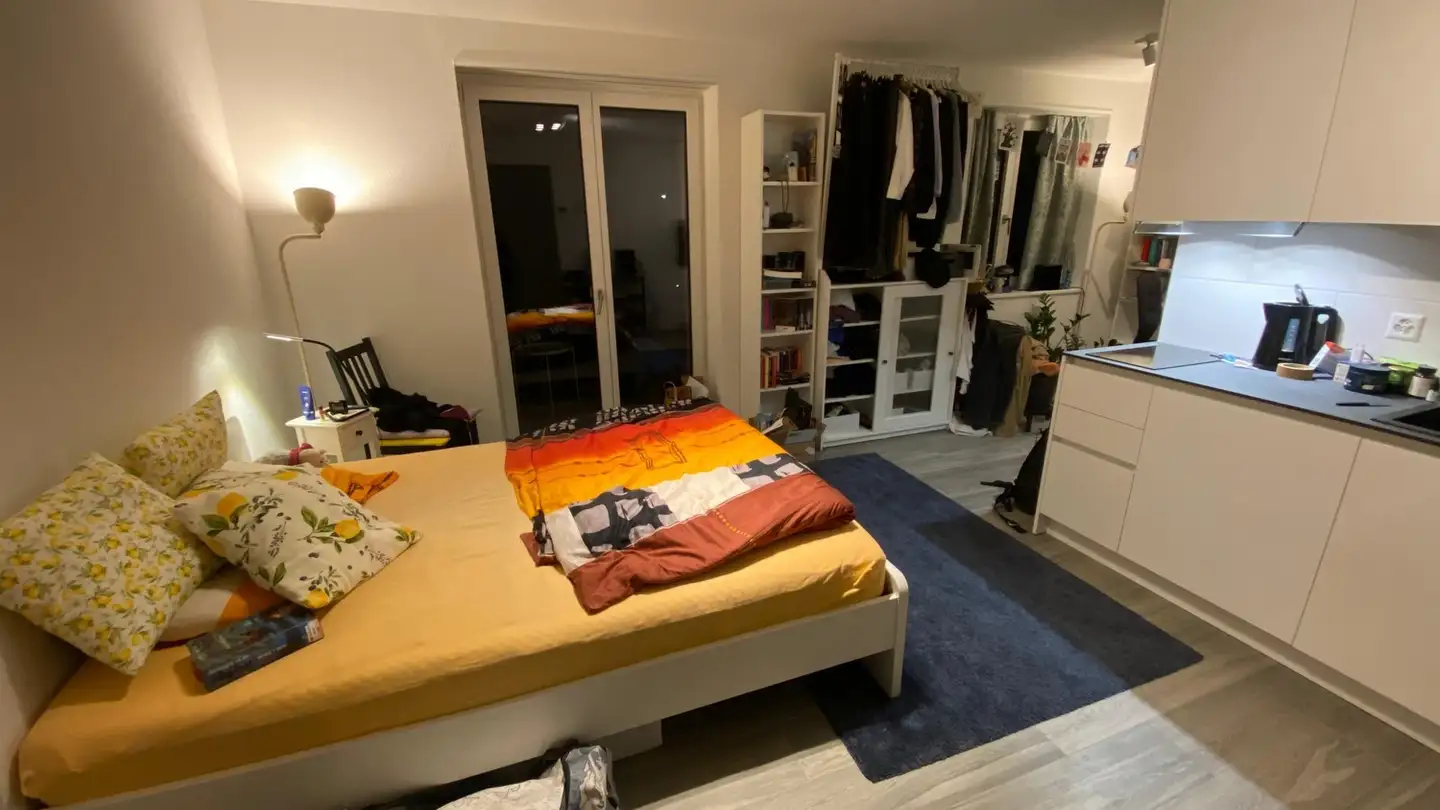 Wohnung mieten - 8050 Zürich