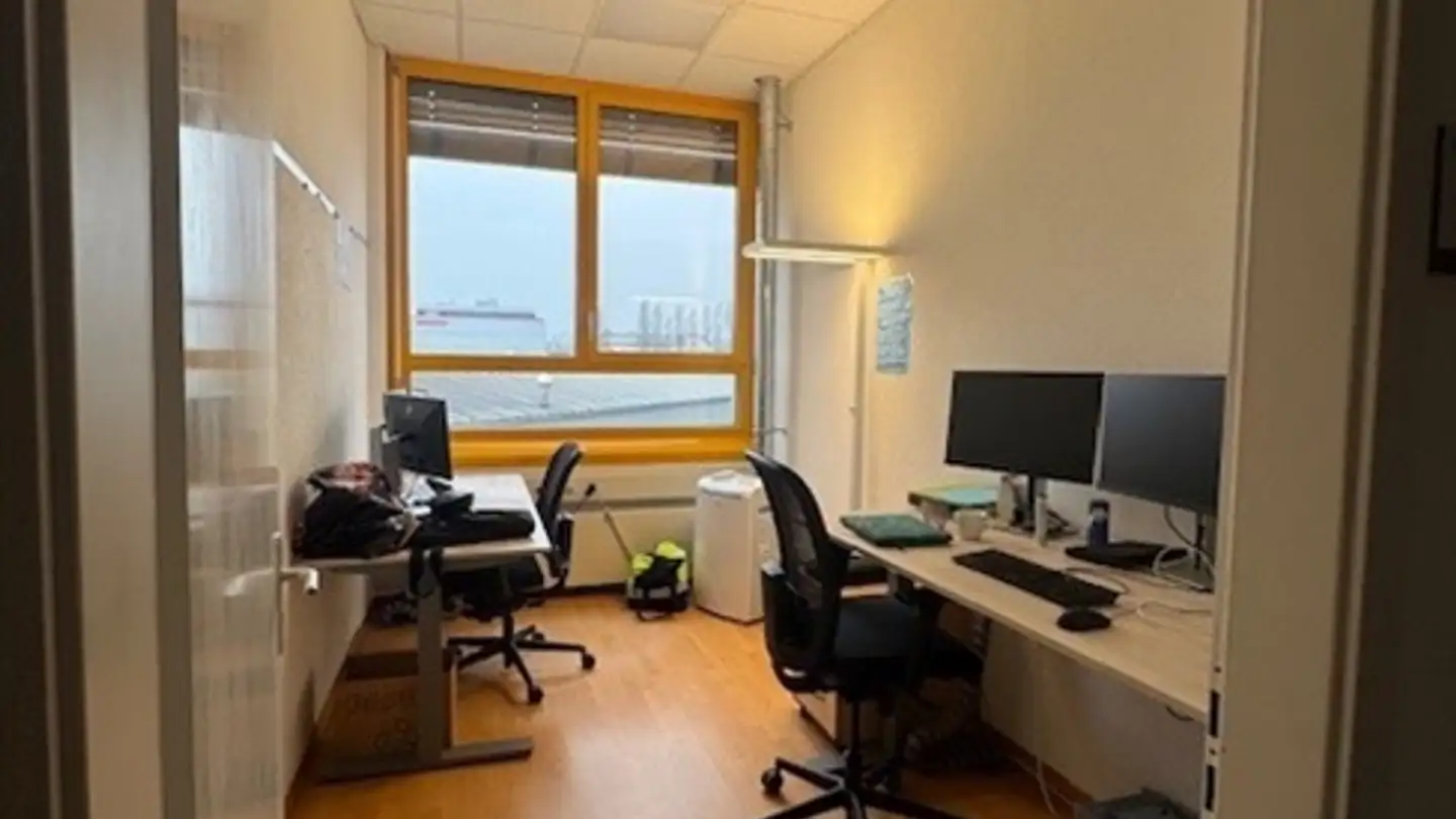 Office space for rent - Rue Baylon 2, 1227 Carouge GE - Photo 4