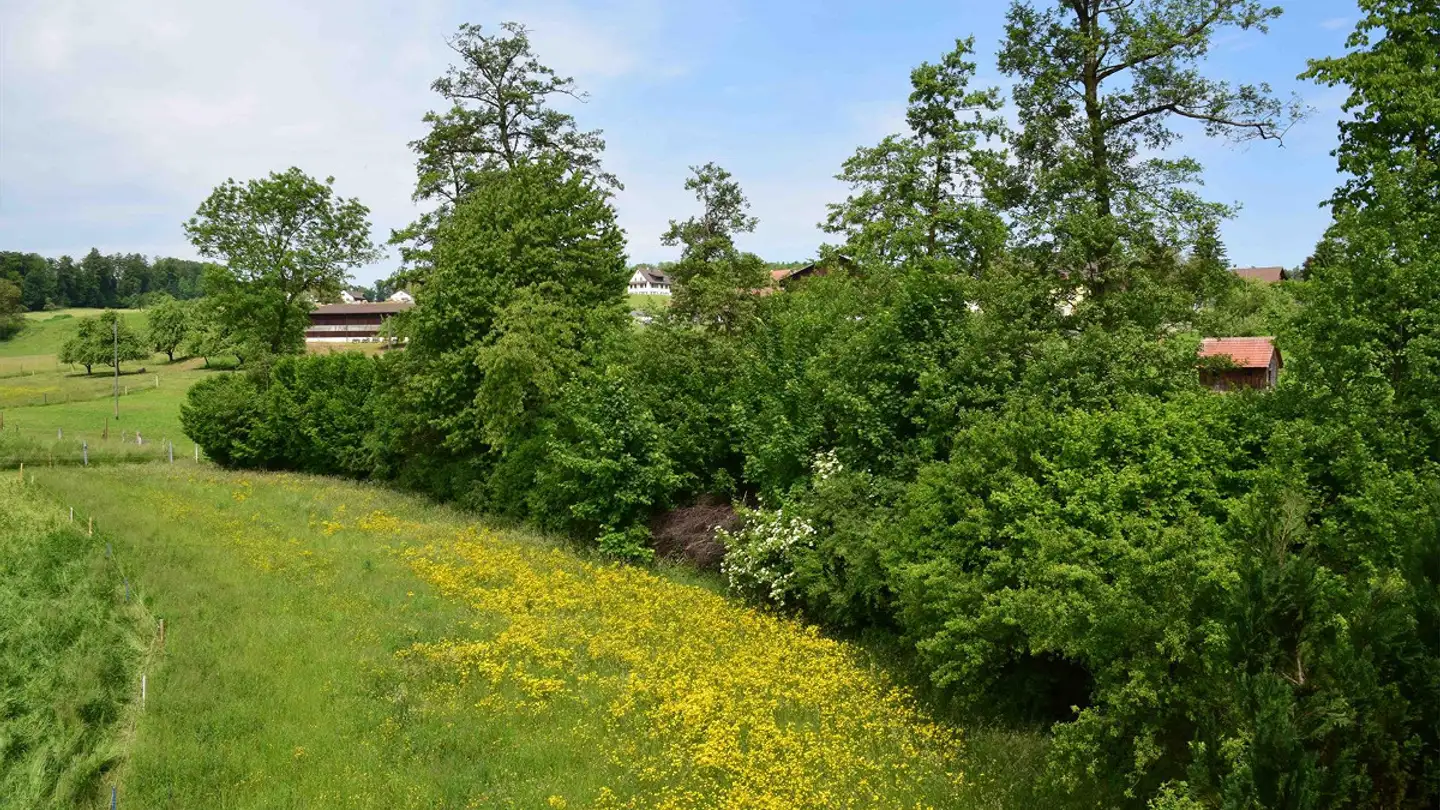 Appartamento in affitto - Beislerstrasse 10, 8634 Hombrechtikon - Foto 2