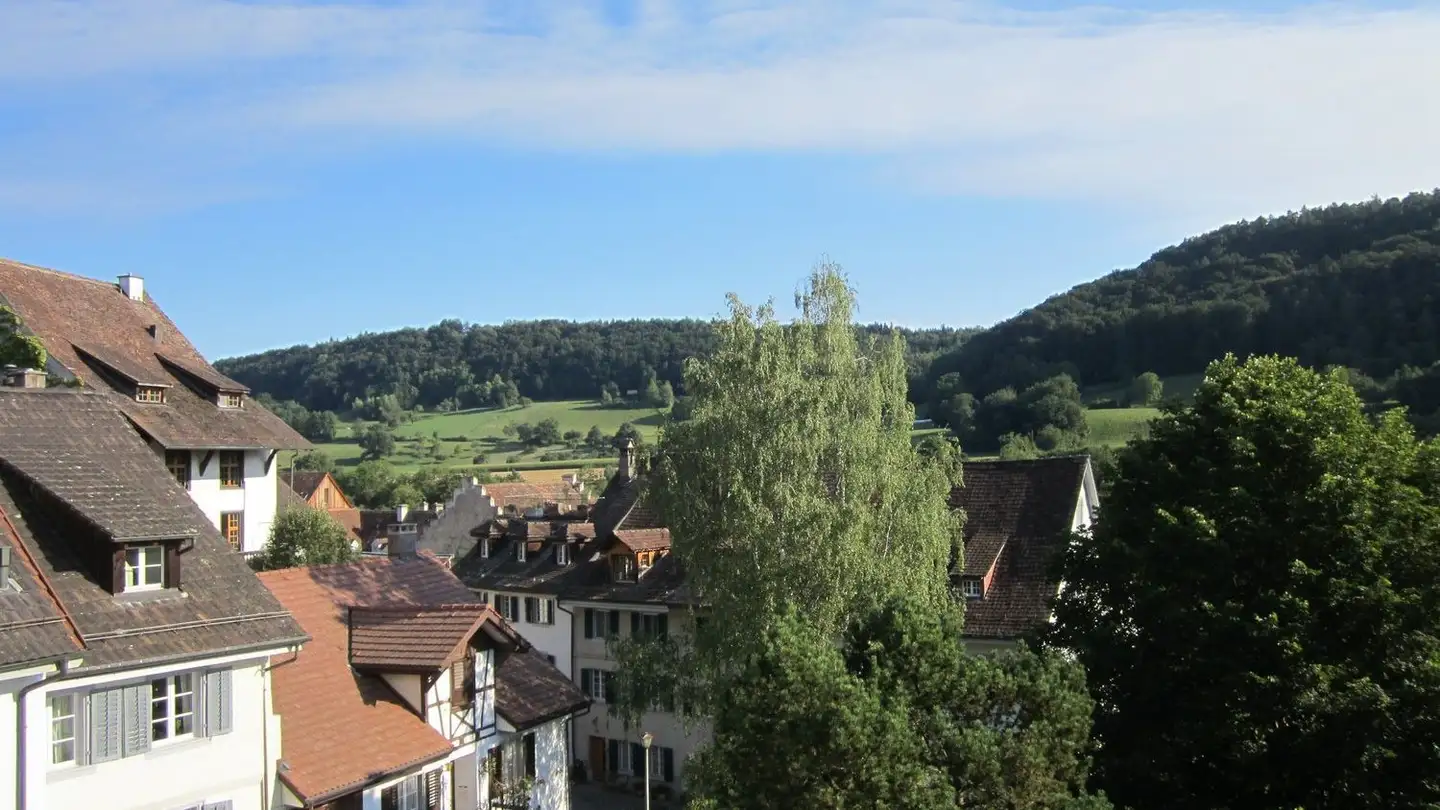 Appartement à louer - Obere Kirchgasse 49, 5466 Kaiserstuhl AG - Photo 2