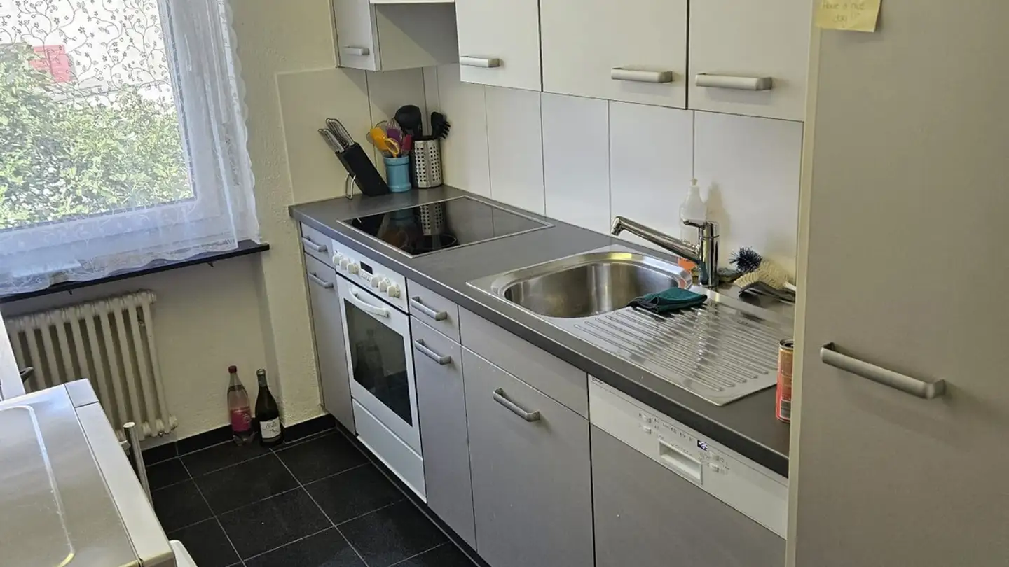 Appartamento in affitto - Burgstrasse 3, 8408 Winterthur - Foto 2