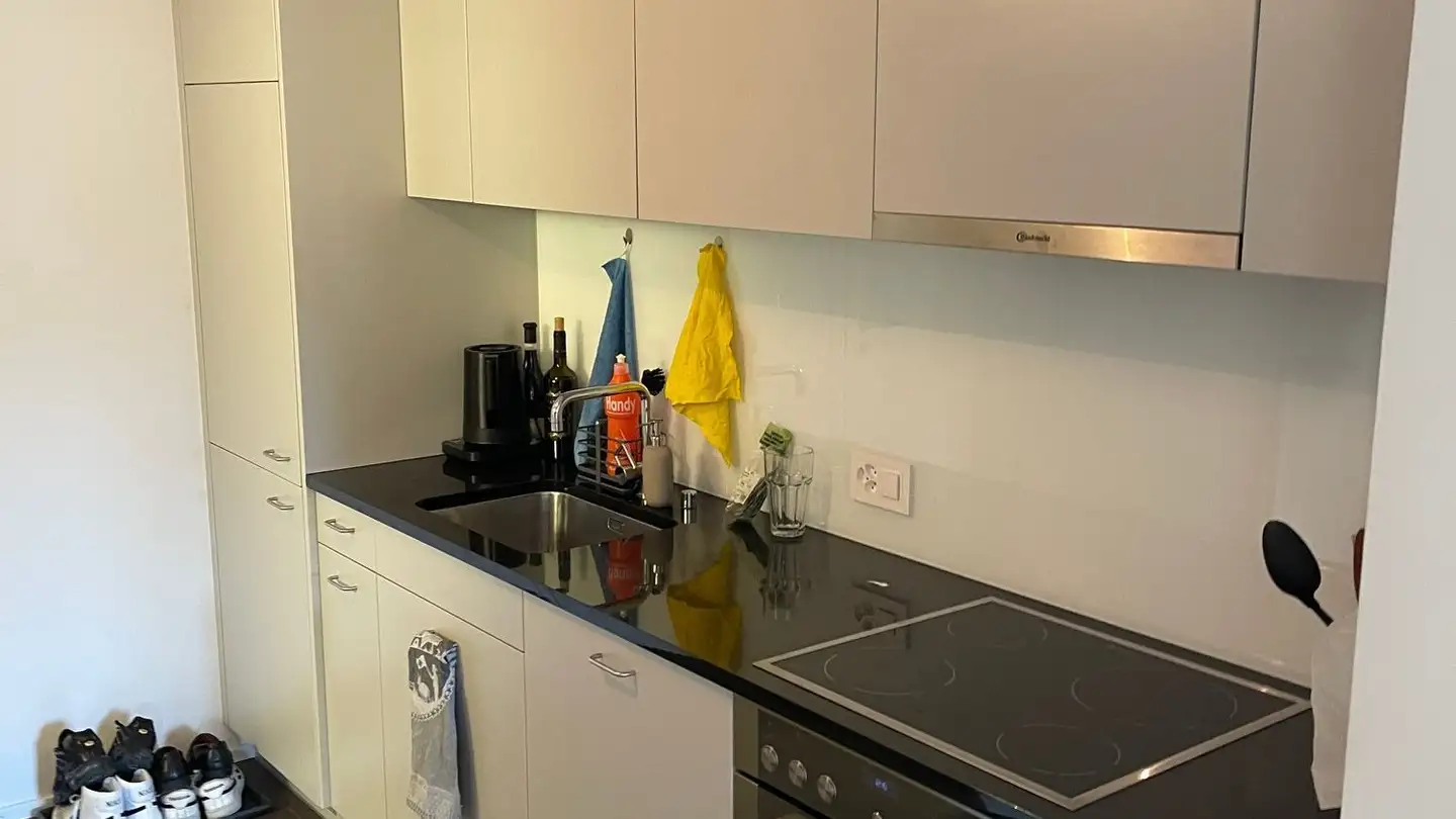 Appartement à louer - Schaffhauserstrasse 6, 8400 Winterthur - Photo 3