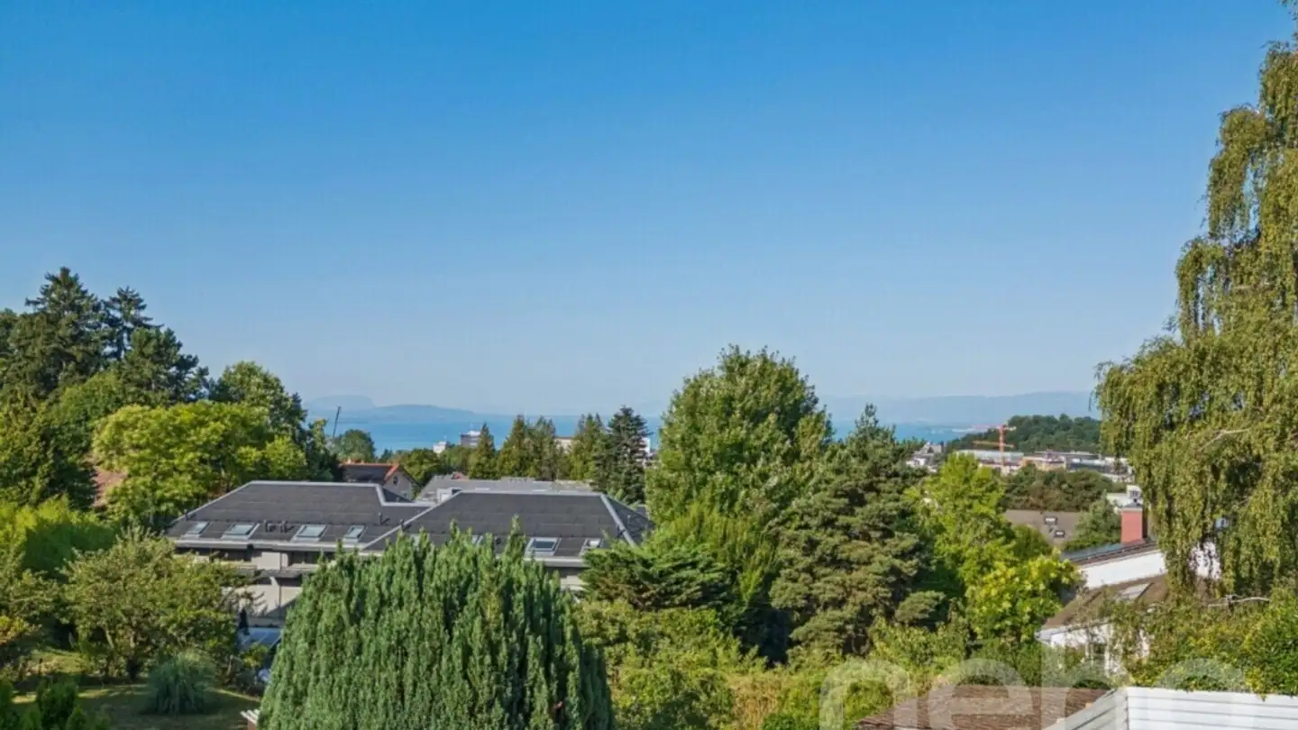 Duplex à vendre - 1010 Lausanne