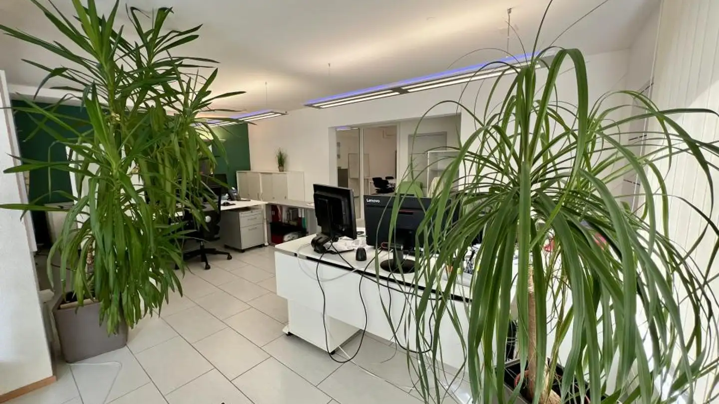 Commercial à louer - Rue De L'hôtel De Ville 5, 1470 Estavayer-le-Lac