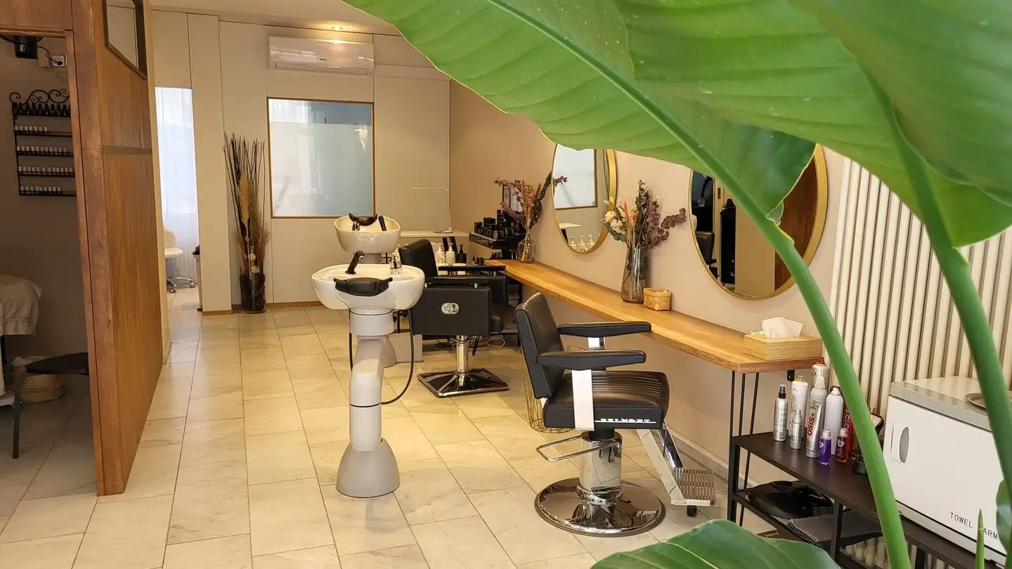 Commerciale in affitto - Hallwylstrasse 24, 8004 Zürich