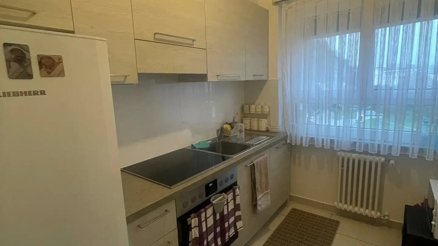 Appartement à louer - Via Al Boschetto 3, 6900 Lugano - Photo 2