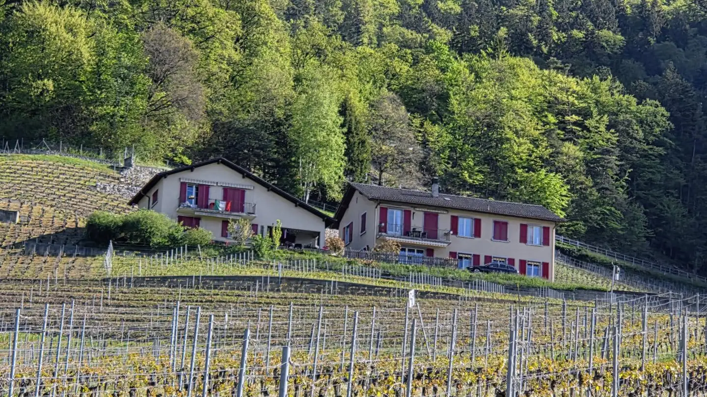 Einfamilienhaus kaufen - 1853 Yvorne - Foto 3