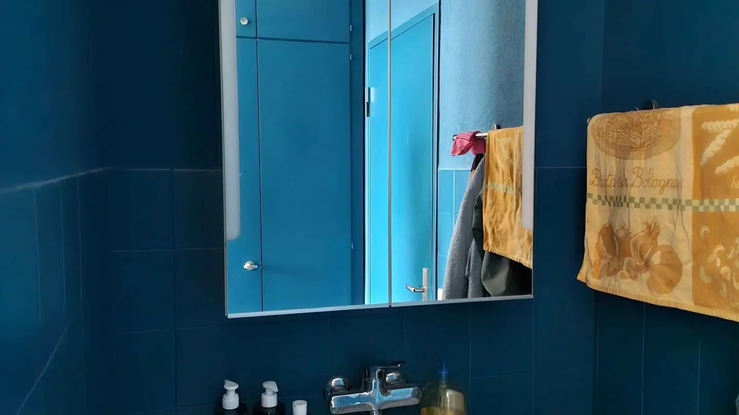 Single room for rent - Boulevard De Pérolles 44, 1700 Fribourg - Photo 3