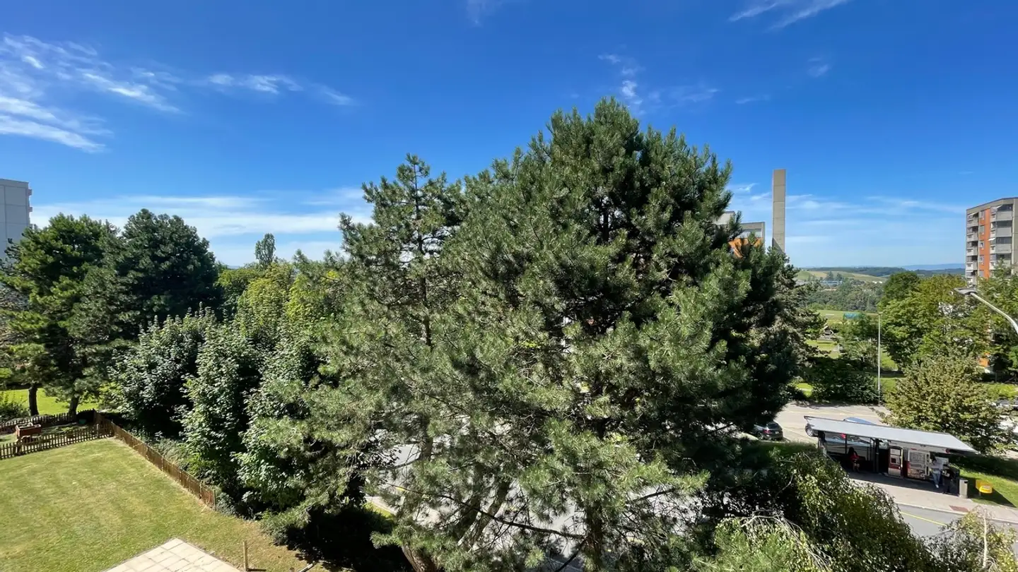 Appartamento in affitto - Impasse Du Castel, 1700 Fribourg - Foto 3