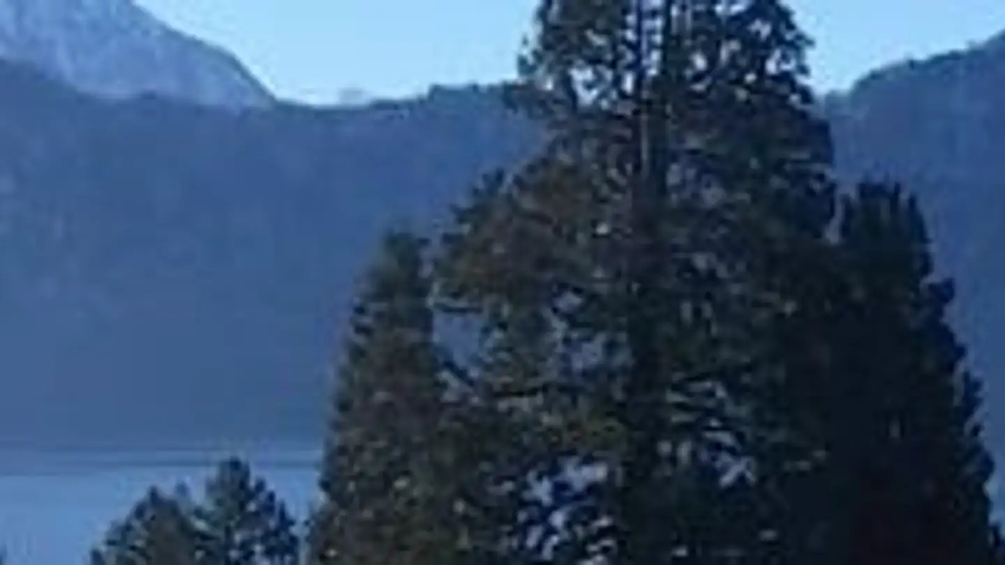 Single house for rent - Oberbühlstrasse 8, 6353 Weggis