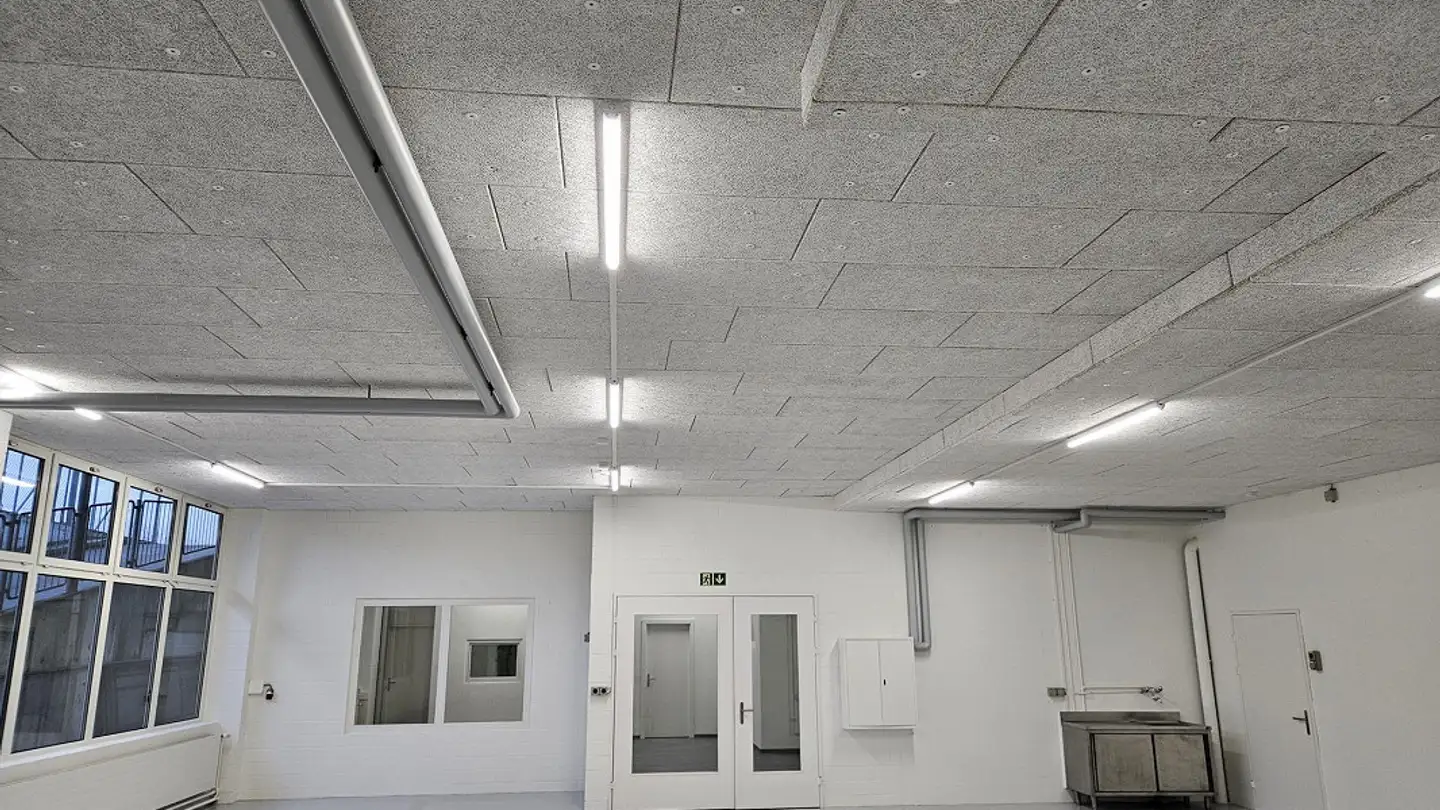 Gewerbe mieten - Langenhagstrasse 7, 4147 Aesch BL - Foto 4