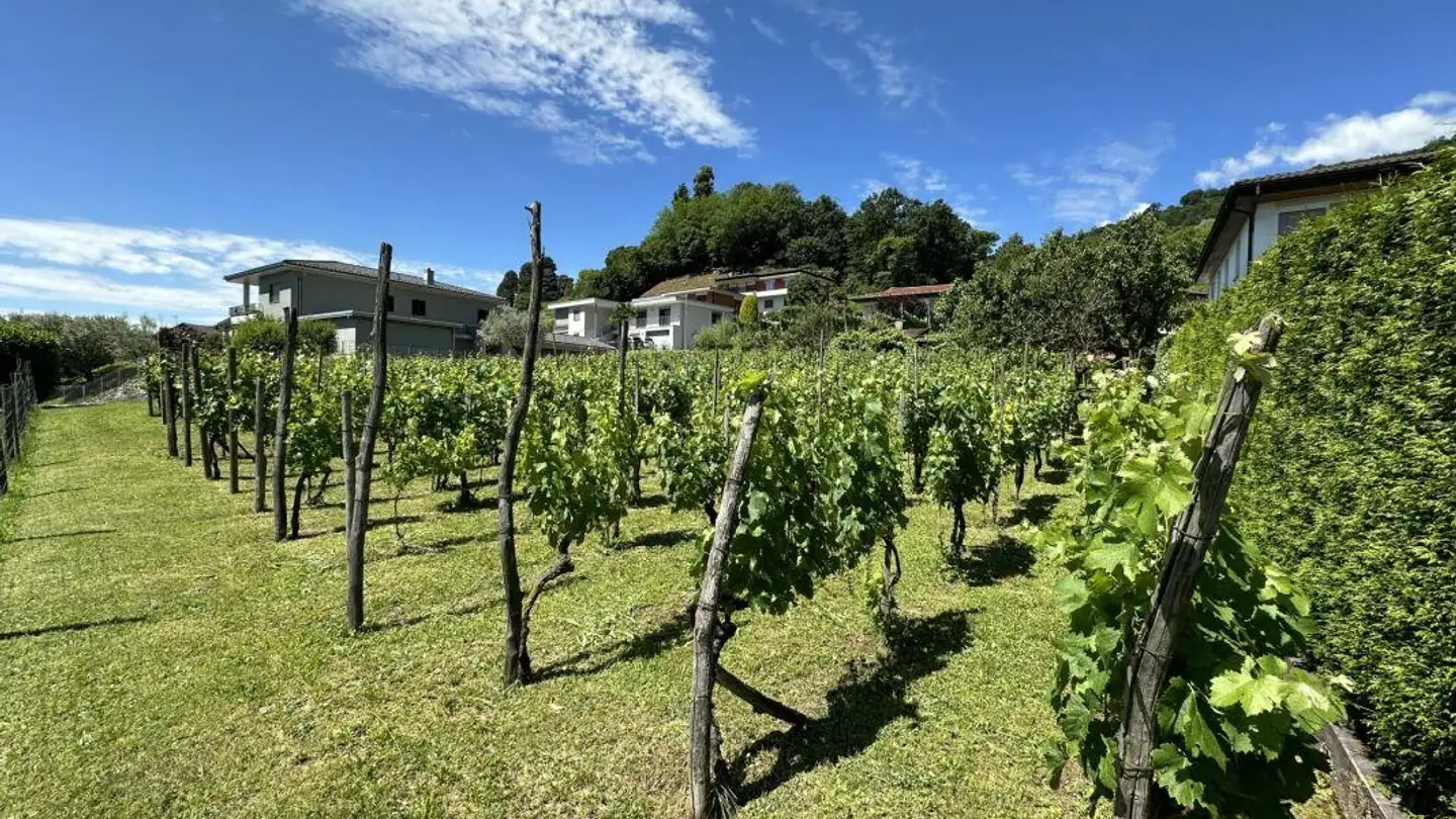 Bauland kaufen - 6862 Rancate - Foto 2