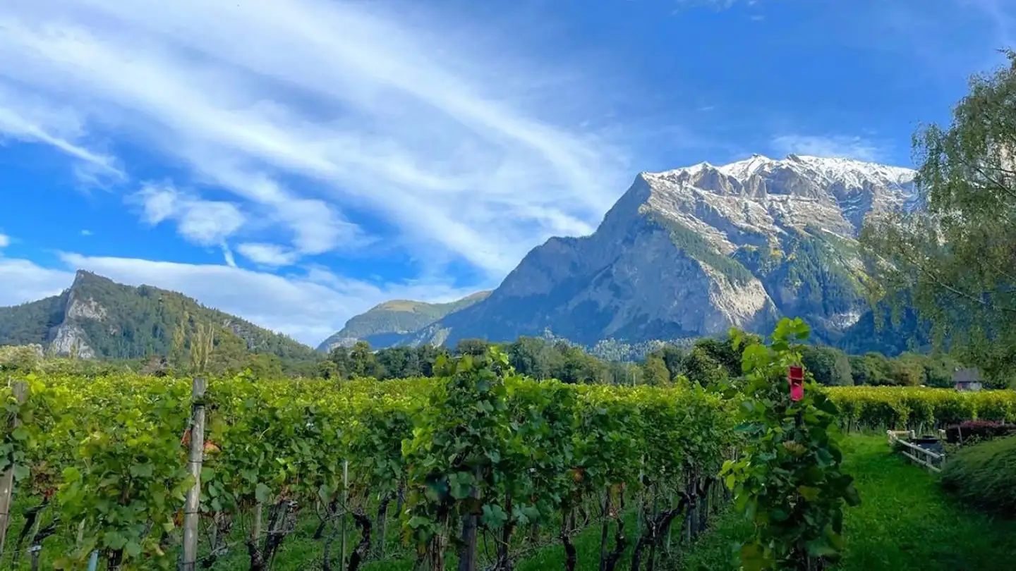 Terreno edificabile in vendita - 7304 Maienfeld - Photo 2