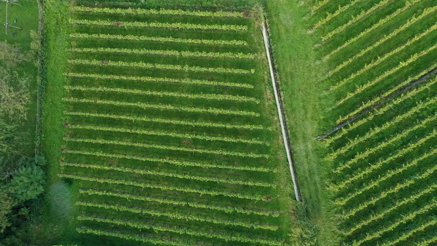 Terreno edificabile in vendita - 7304 Maienfeld - Photo 3