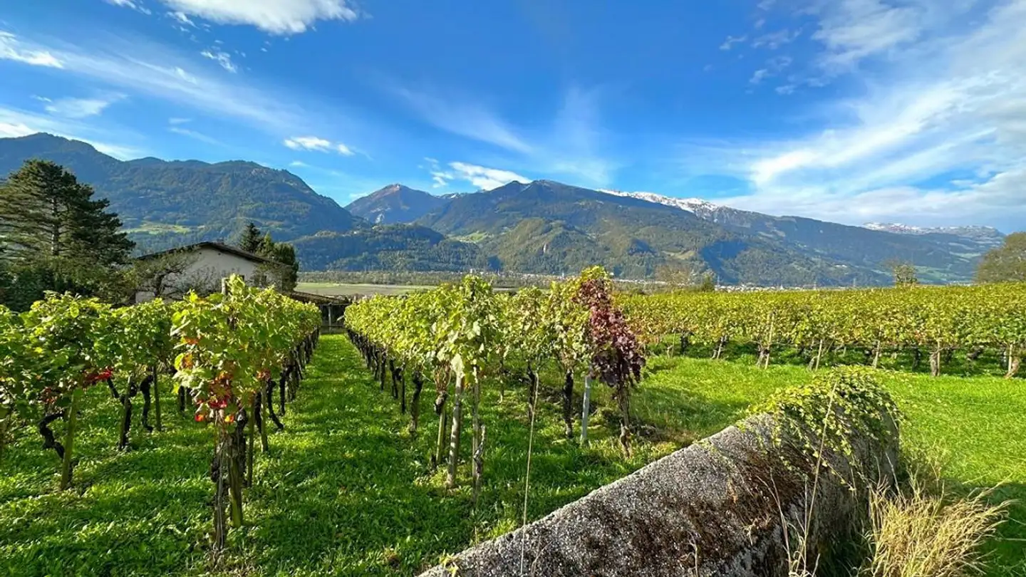 Terreno edificabile in vendita - 7304 Maienfeld - Photo 4