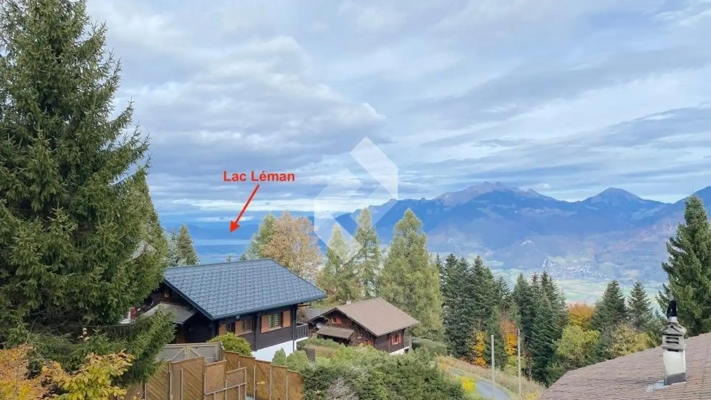 Chalet à vendre - Route Des Cerniers 65, 1871 Les Giettes