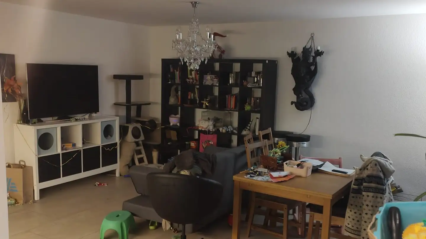 Apartment for rent - Säntisblickstrasse 8, 8580 Amriswil - Photo 3