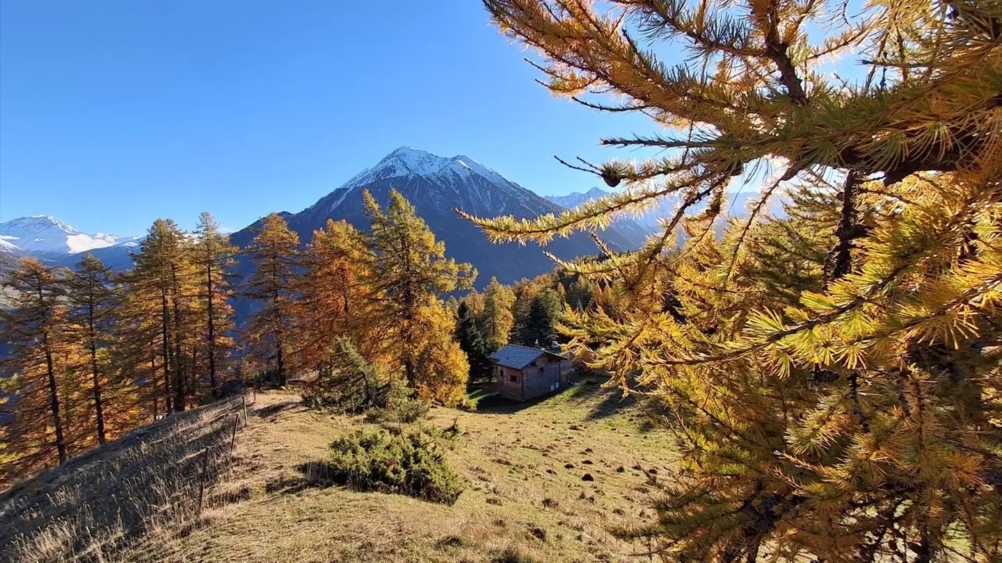 Appartement à louer - Chemin-Dessus, 1927 Chemin