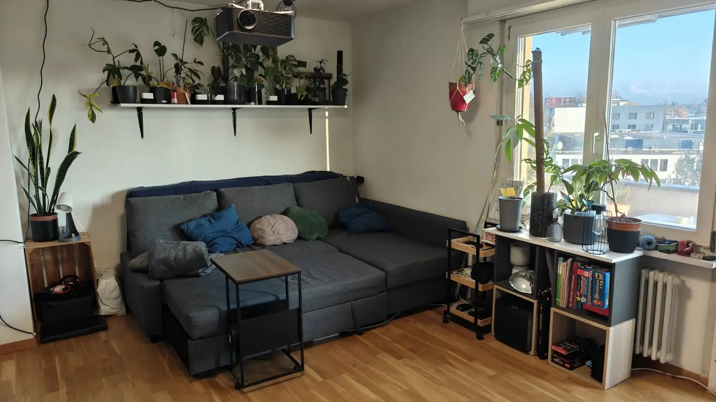 Appartamento in affitto - 8620 Wetzikon ZH