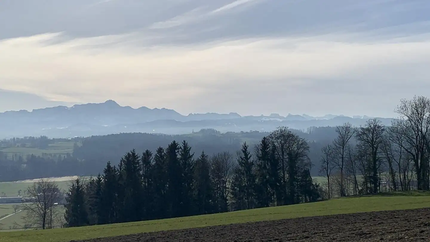 Terreno edificabile in vendita - Eggwis, 9527 Niederhelfenschwil - Foto 4