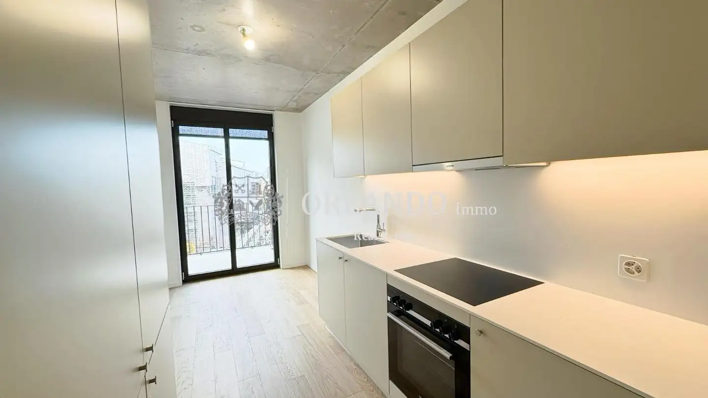 Appartement à louer - Rue Des Pervenches, 1227 Carouge GE - Photo 4