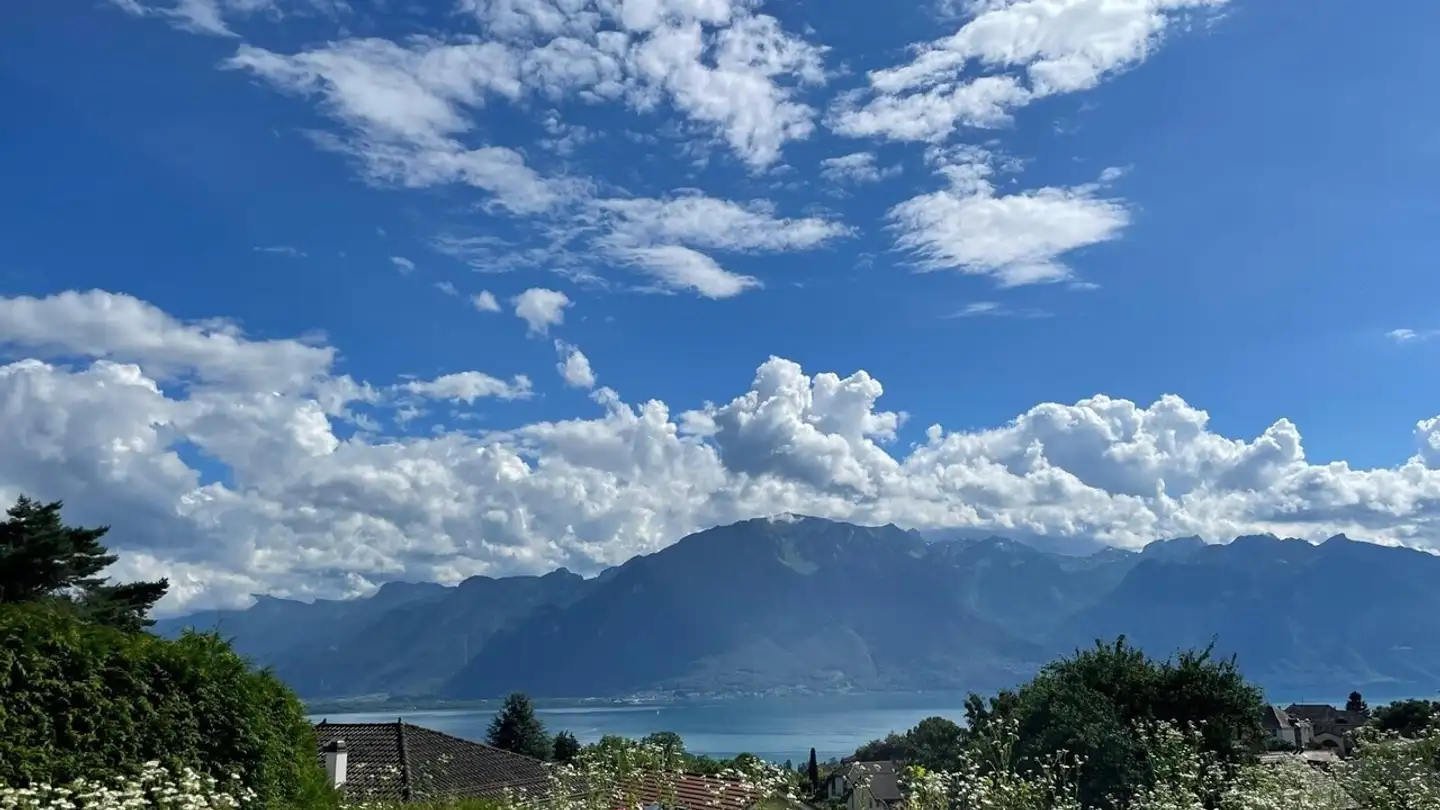 Duplex for sale - Route De Vevey, 1807 Blonay