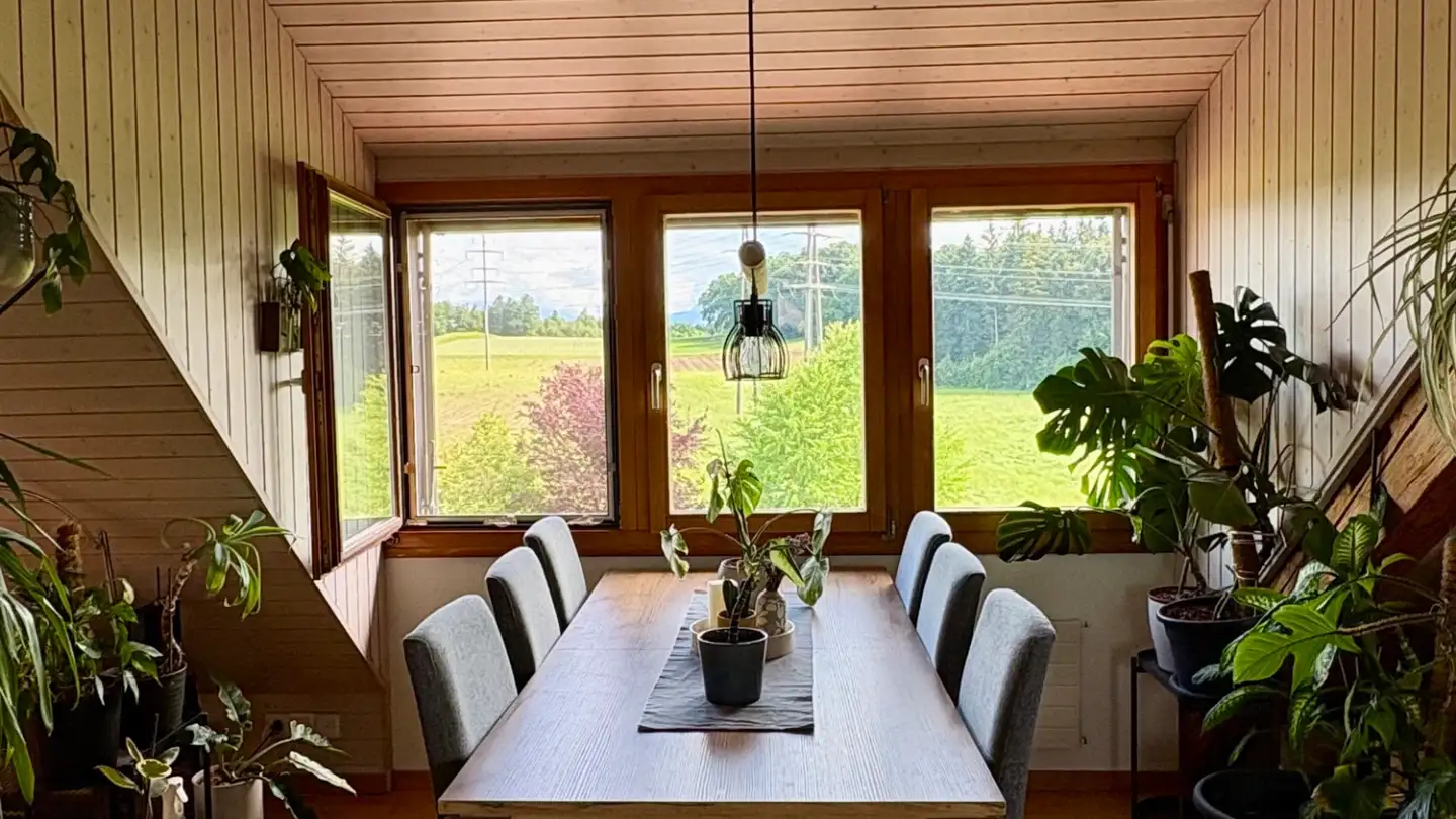 Appartamento in affitto - Linggenbergstrasse, 8620 Wetzikon ZH