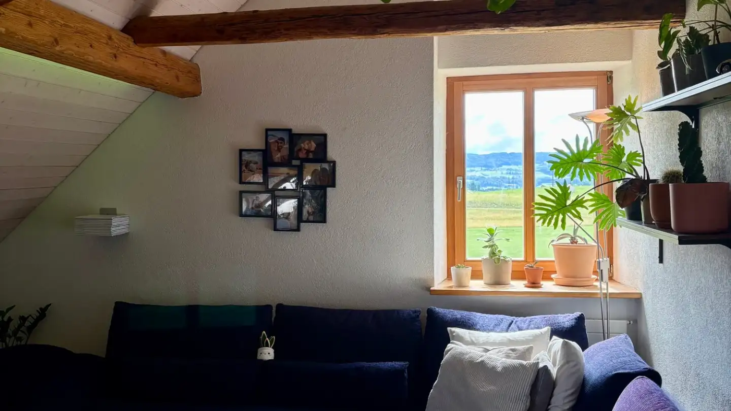 Appartamento in affitto - Linggenbergstrasse, 8620 Wetzikon ZH - Foto 2