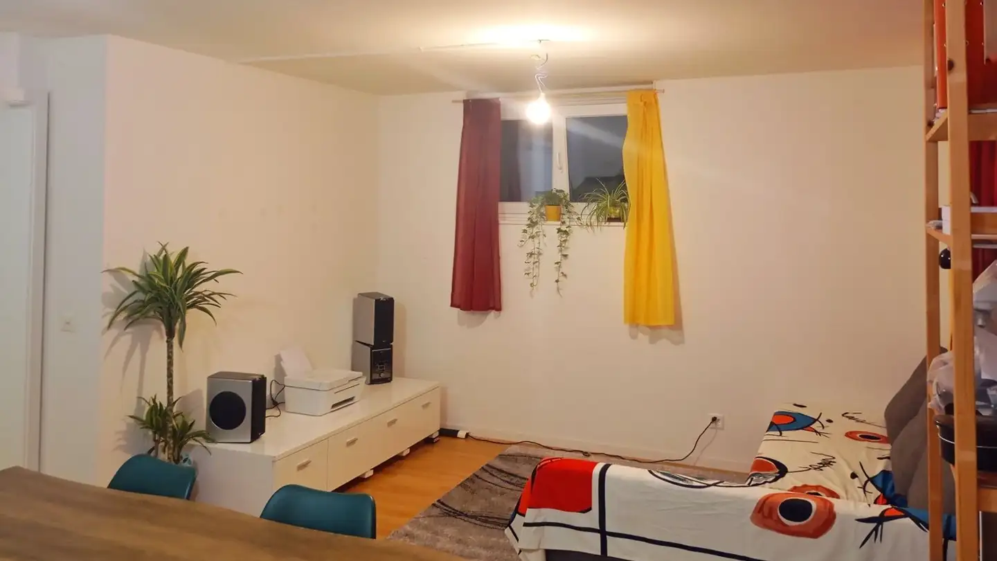 Stanza singola in affitto - 1700 Fribourg - Photo 2