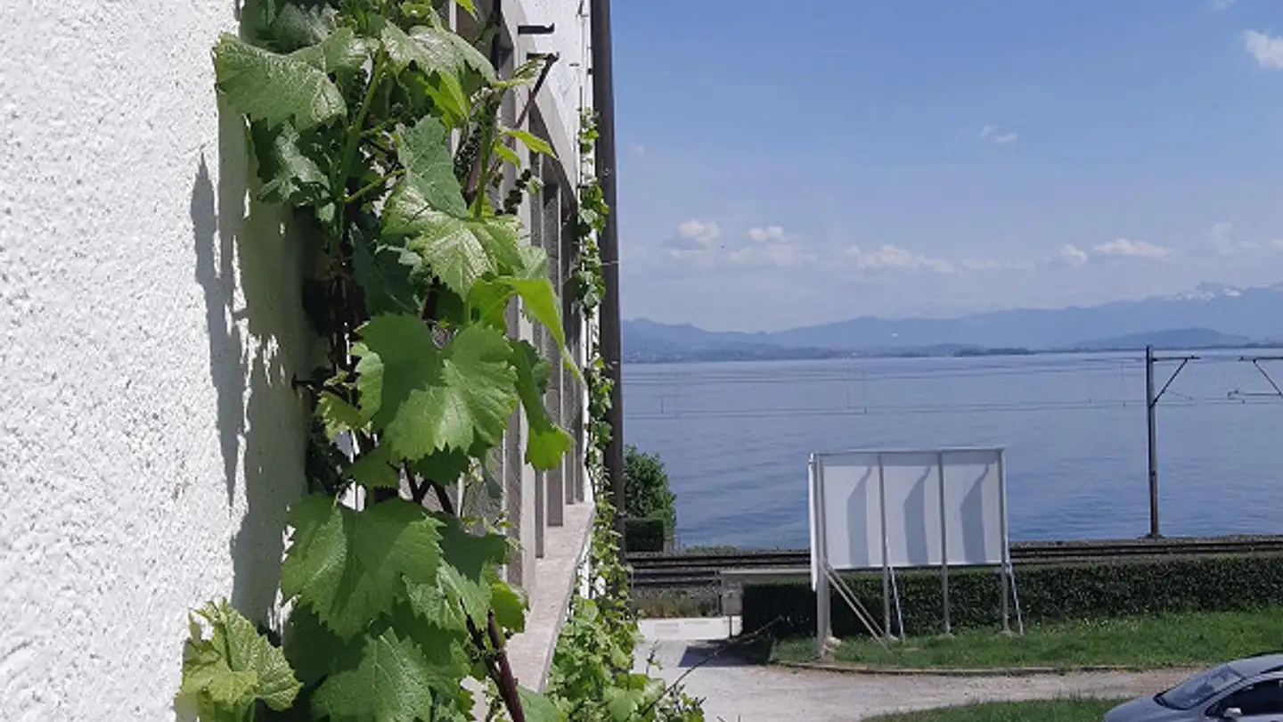 Stanza singola in affitto - Seestrasse 72a, 8805 Richterswil - Foto 4