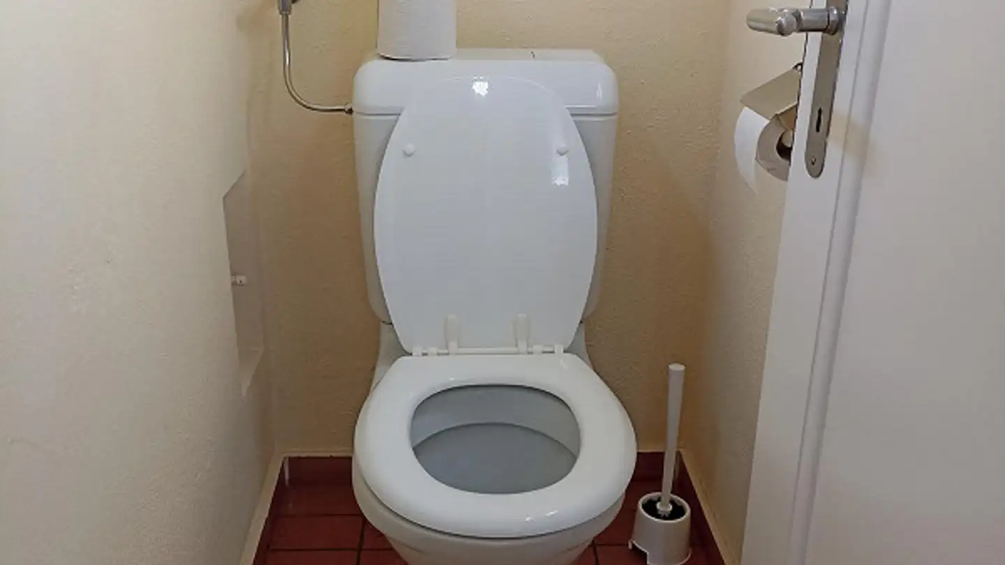 Appartement à louer - Rosenbergstrasse 45, 8212 Neuhausen am Rheinfall - Photo 3