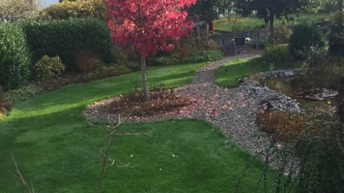 Casa bifamiliare in affitto - Untere Hardegg, 4600 Olten - Photo 2