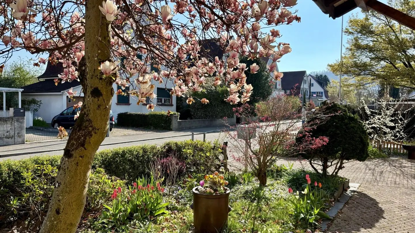 Duplex à vendre - Hinterzweienstrasse, 4132 Muttenz